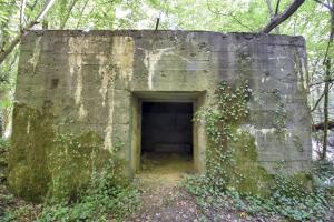 Ligne Maginot - DB302 - BOIS DE LATIREMONT - (Blockhaus pour canon) - 