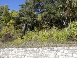 Ligne Maginot - CHATELARD - (Ouvrage d'infanterie) - L'ouvrage à disparu sous la végétation.