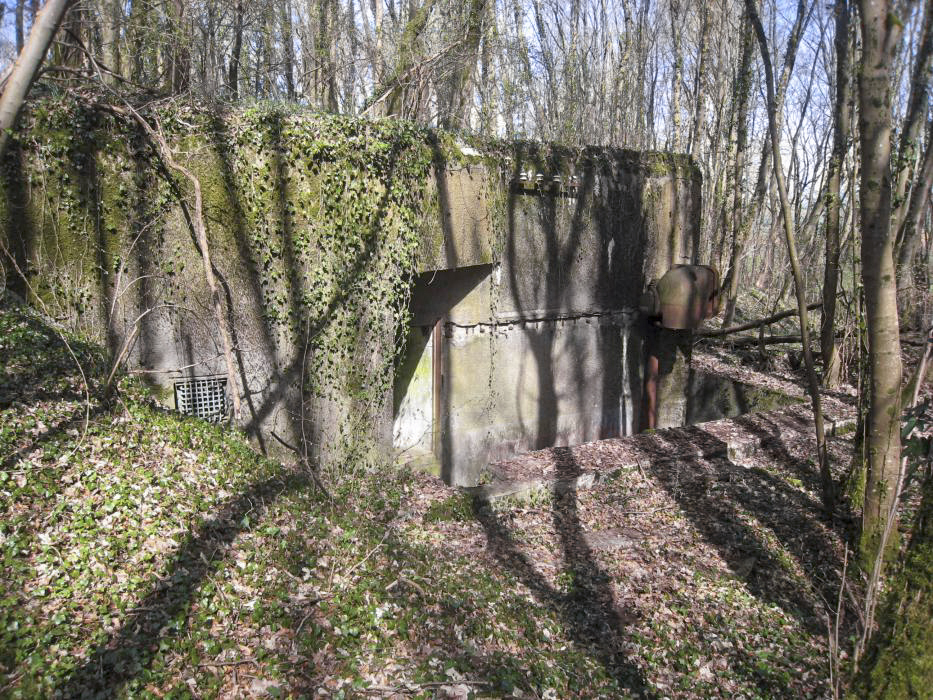 Ligne Maginot - BOIS DE TAPPE EST  - C6 - (Casemate d'infanterie) - Du coté de l'entrée
