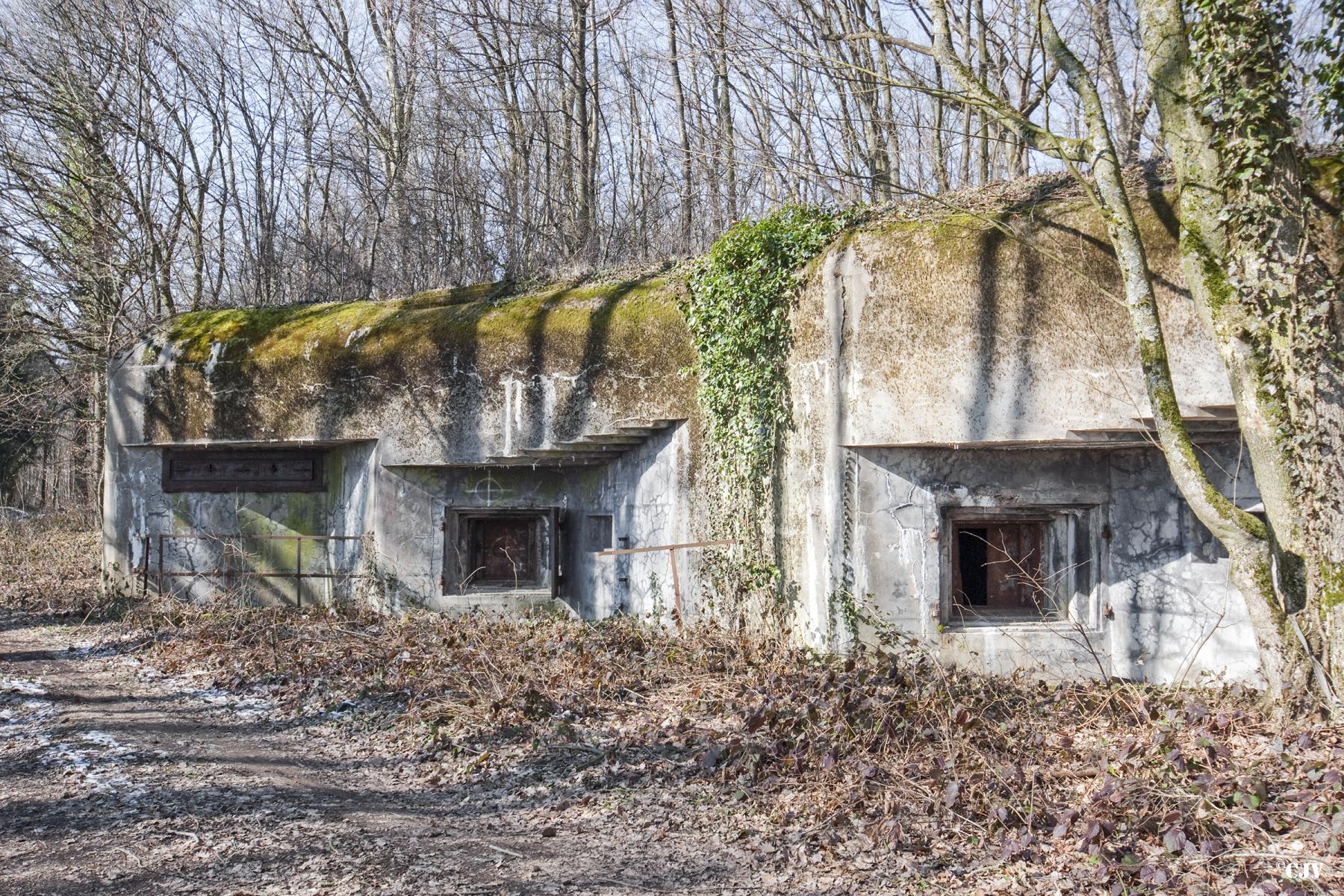 Ligne Maginot - BOIS D'OTTONVILLE - BCA1 - (Casemate d'artillerie) - 