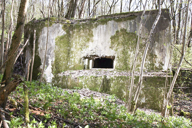 Ligne Maginot - DB125 - BOIS DE CRUSNES OUEST - (Blockhaus pour canon) - 