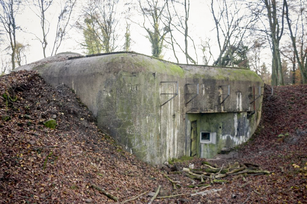 Ligne Maginot - CHENES BRULES - O4 - (Observatoire d'artillerie) - Photo prise lors du nettoyage de la parcelle