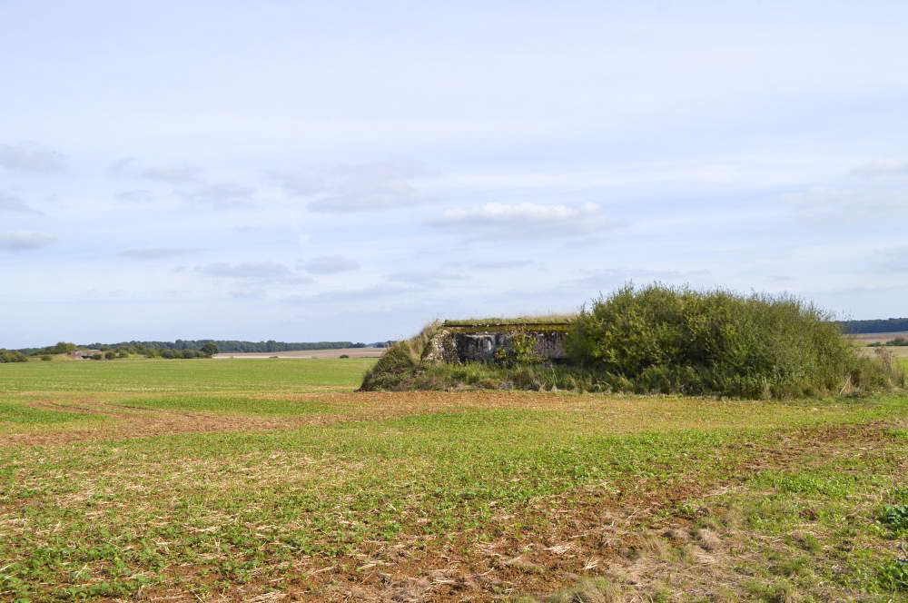 Ligne Maginot - Db3 (Blockhaus pour canon) - Avec au fond la casemate de Bure (C33)