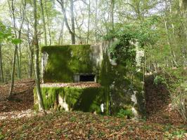 Ligne Maginot - KAISERWALD - (Blockhaus pour canon) - La façade de tir vers l'Est.