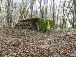 Ligne Maginot - VOR BERG - (Blockhaus pour arme infanterie) - La façade arrière.
Remarquez le camouflage en pierres.