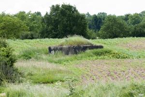 Ligne Maginot - HOCHWEDEL (Blockhaus pour arme infanterie) - 