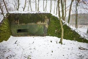 Ligne Maginot - BB9 - (Blockhaus pour arme infanterie) - Embrasure droite