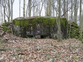 Ligne Maginot - AB38 - BOIS DE LAUDREFANG 6 - (Blockhaus pour canon) - 
