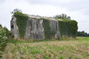 Ligne Maginot - B175 - LEVRETTE - (Blockhaus pour canon) - 