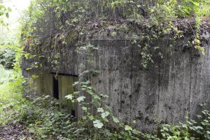 Ligne Maginot - B347 - BOIS DE VARLET SUD 2 - (Blockhaus pour canon) - 