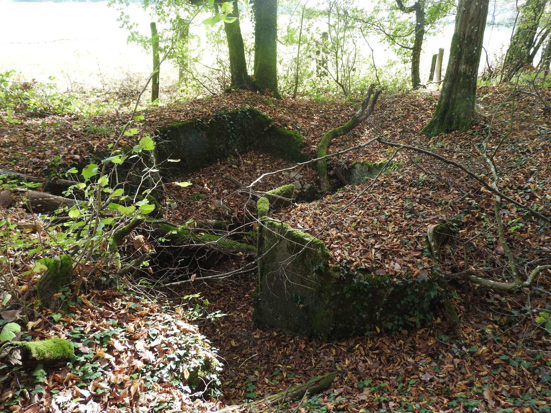 Ligne Maginot - KAISERWALD 2 - (Cuve pour arme d'infanterie) - Les restes de la cuve d'infanterie.