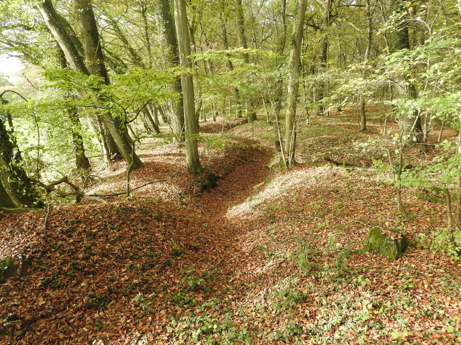 Ligne Maginot - KAISERWALD - (Blockhaus pour canon) - Le réseaux de tranchées à proximité du blockhaus.