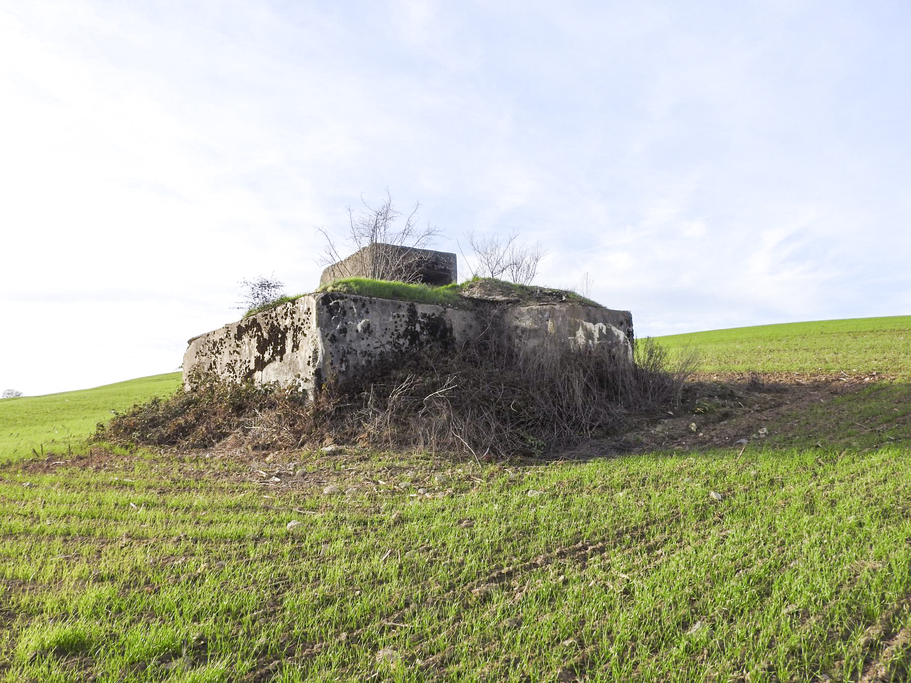 Ligne Maginot - BB227 - ROTHERBERG 01 - (Blockhaus pour arme infanterie) - La façade de tir remblayée.