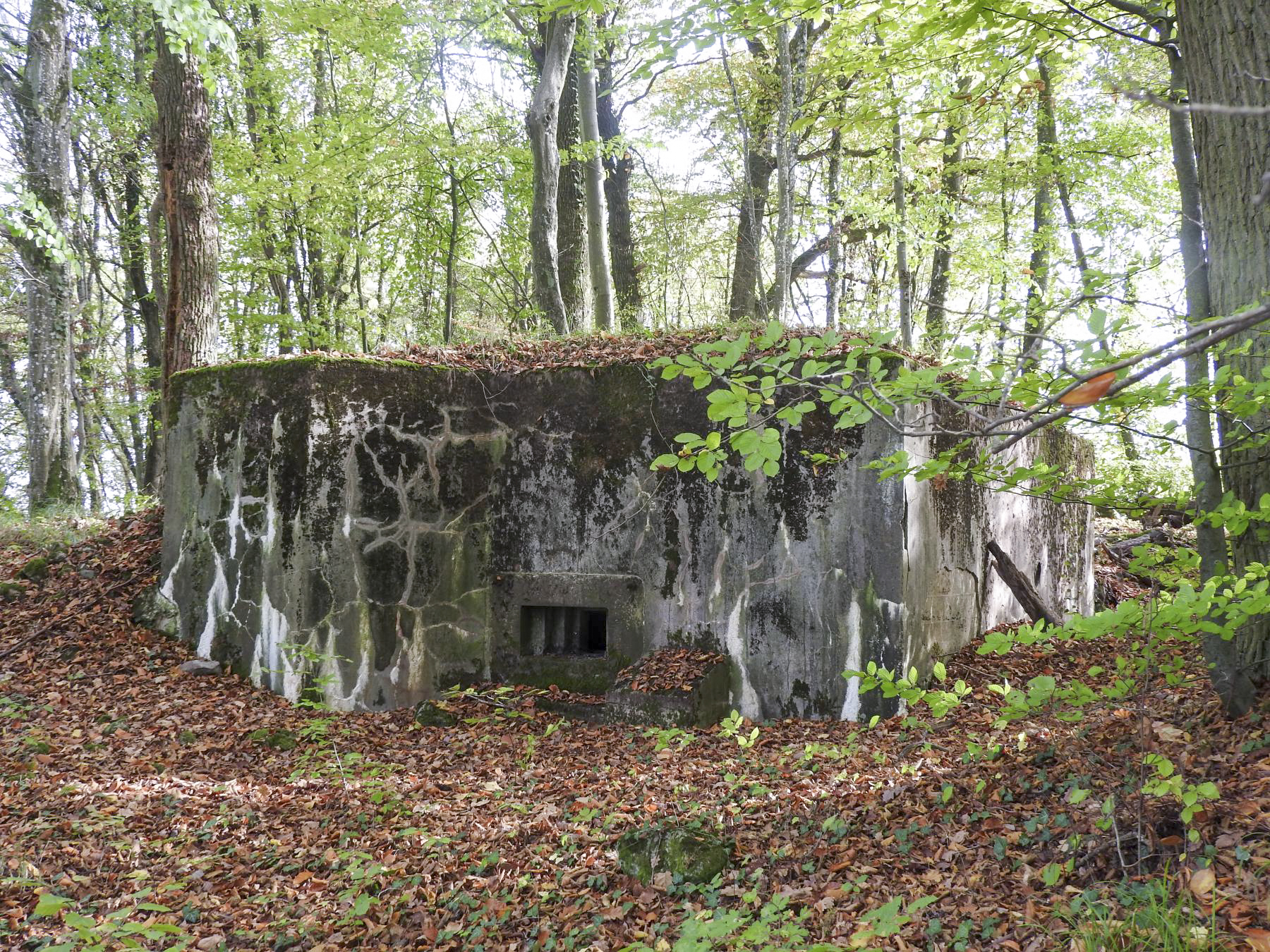 Ligne Maginot - HESTROFF NORD 2 - (Blockhaus pour arme infanterie) - La façade de tir du blockhaus.