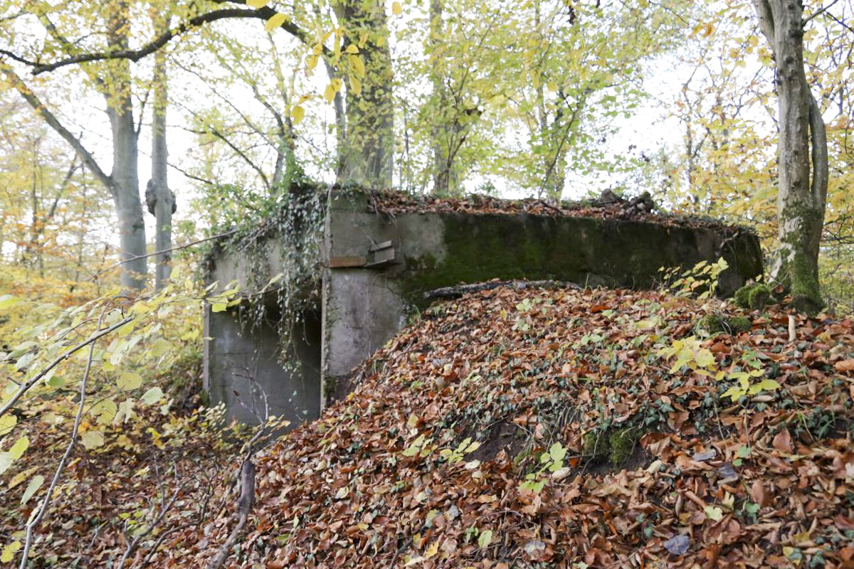 Ligne Maginot - HESTROFF NORD 1 - (Blockhaus pour arme infanterie) - 