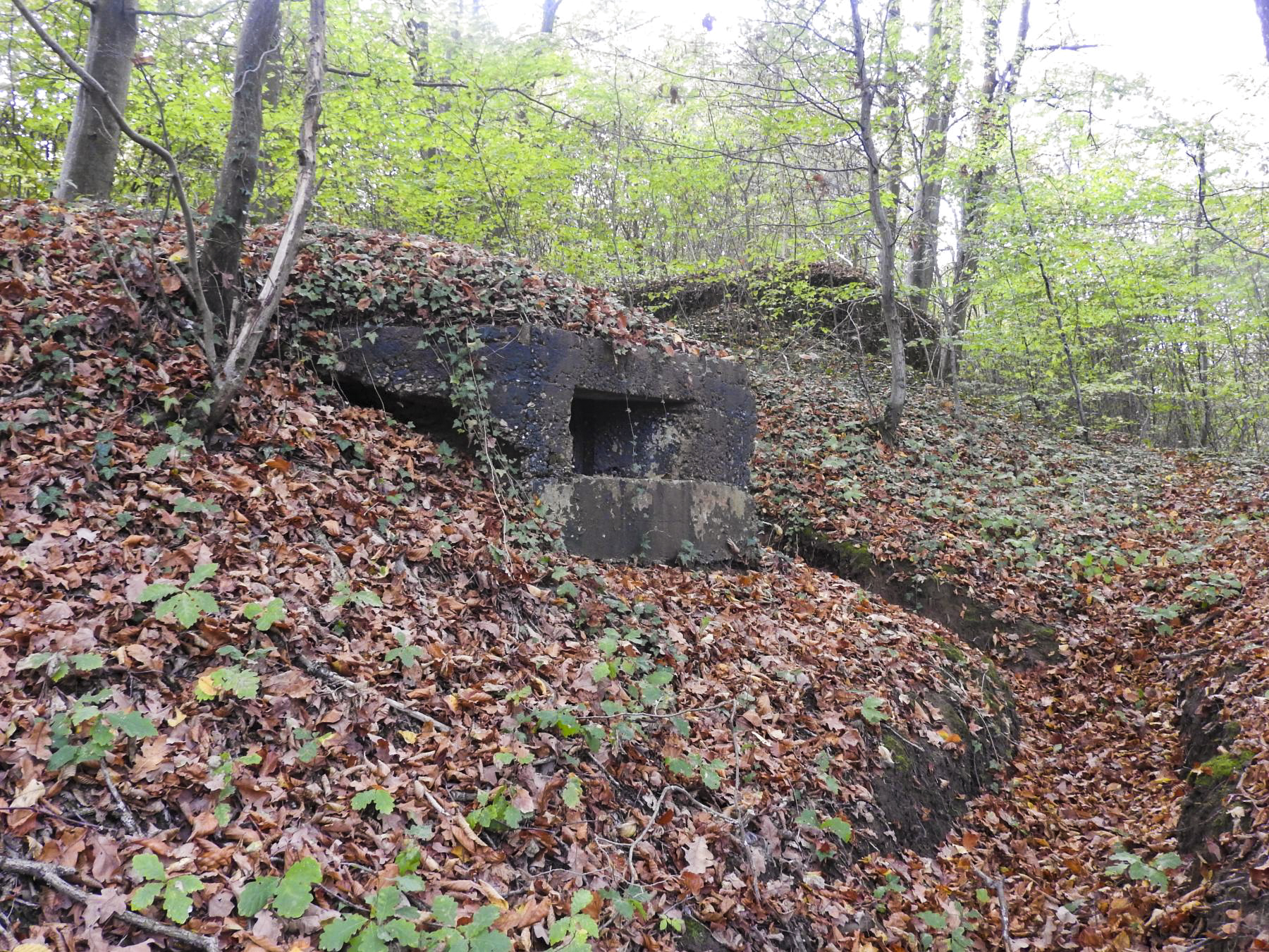 Ligne Maginot - BOUSSE SUD - (Blockhaus pour arme infanterie) - L'embrasure vers la voie ferrée.
On distingue à l'arrière le blockhaus Nord type 1.