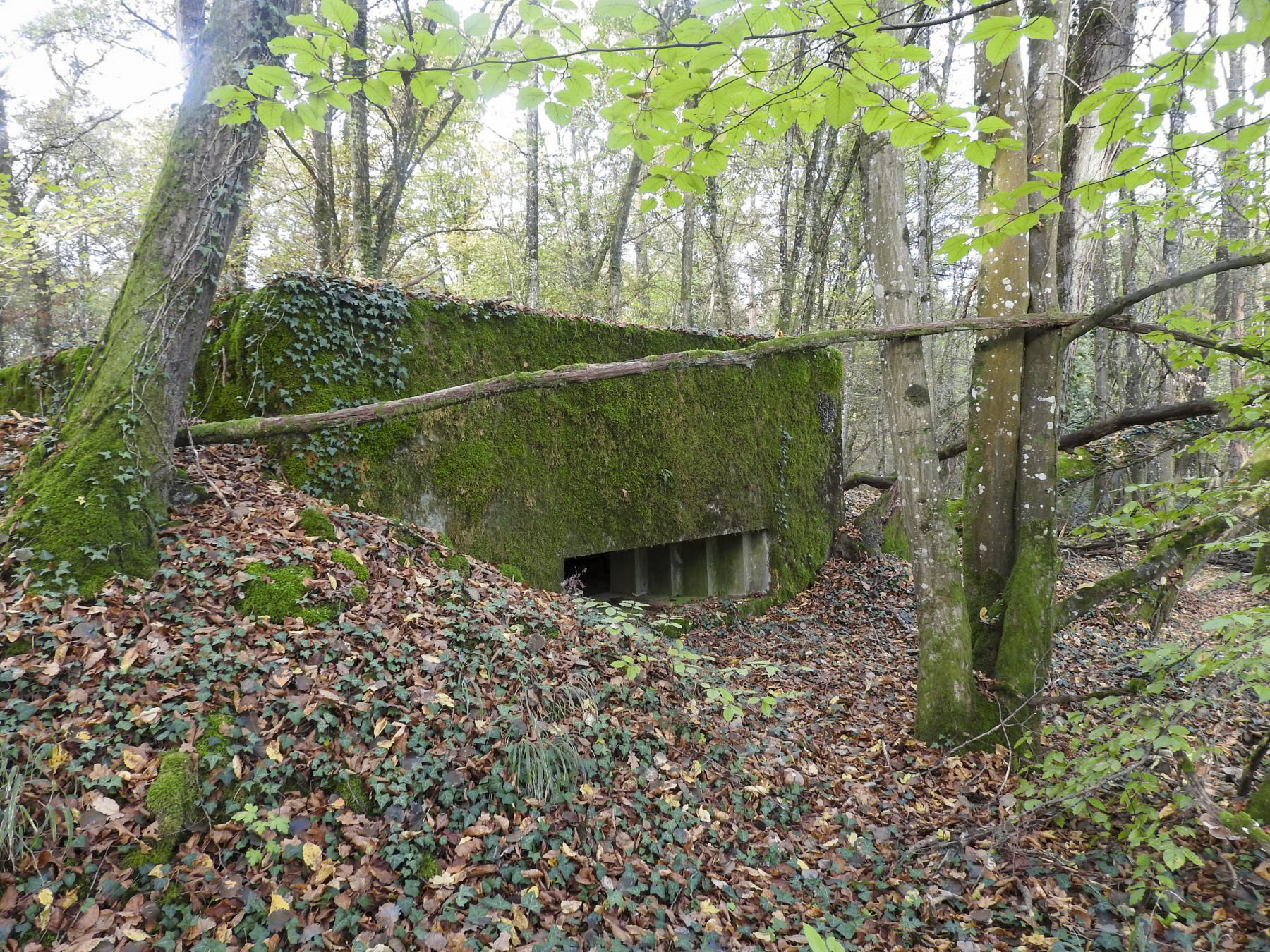 Ligne Maginot - VOR BERG 2 - (Blockhaus pour canon) - La façade de tir vers l'est.