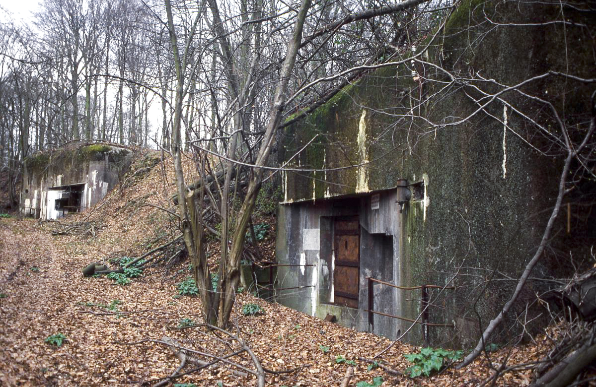 Ligne Maginot - NONNENBERG - X17 - (Abri) - 