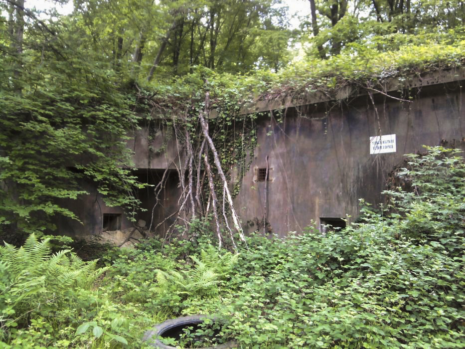 Ligne Maginot - Abri du Bichel Nord - Etat actuel.
Remblayé par l'armée.