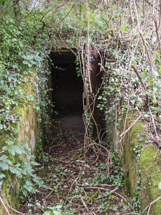 Ligne Maginot - HUMMERSBERG SUD - C54 - (Casemate d'infanterie) - Entrée du local extérieur abritant les niches à mines