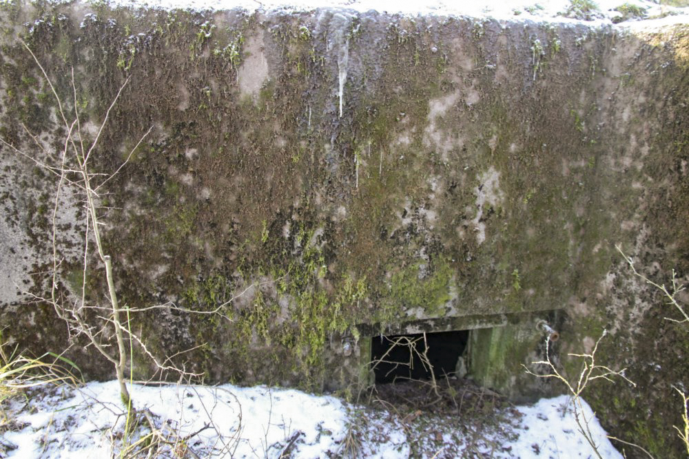 Ligne Maginot - BB366 - SPRINSEL - (Blockhaus pour arme infanterie) -   