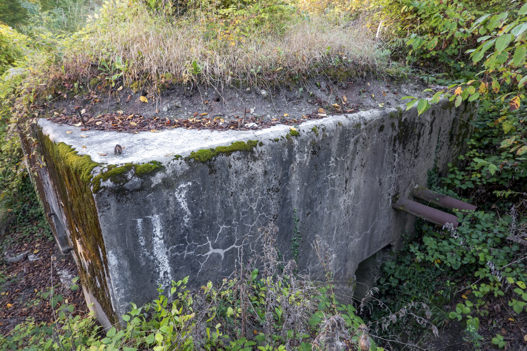 Ligne Maginot - BB367 - EICHEN 1 - (Blockhaus pour arme infanterie) - L'entrée