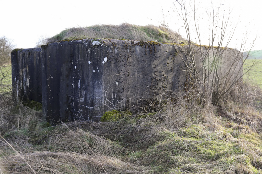 Ligne Maginot - HOCHWEDEL - (Blockhaus pour arme infanterie) -       