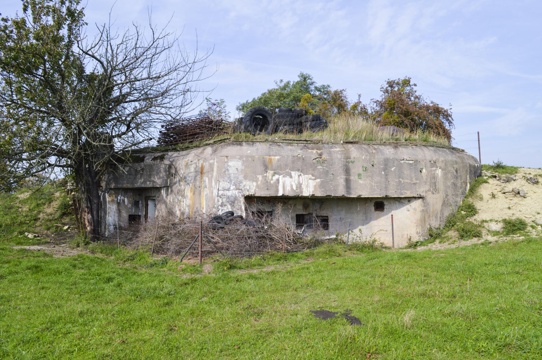 Ligne Maginot - BISTERBERG NORD II - C66 - (Casemate d'infanterie - Simple) - 