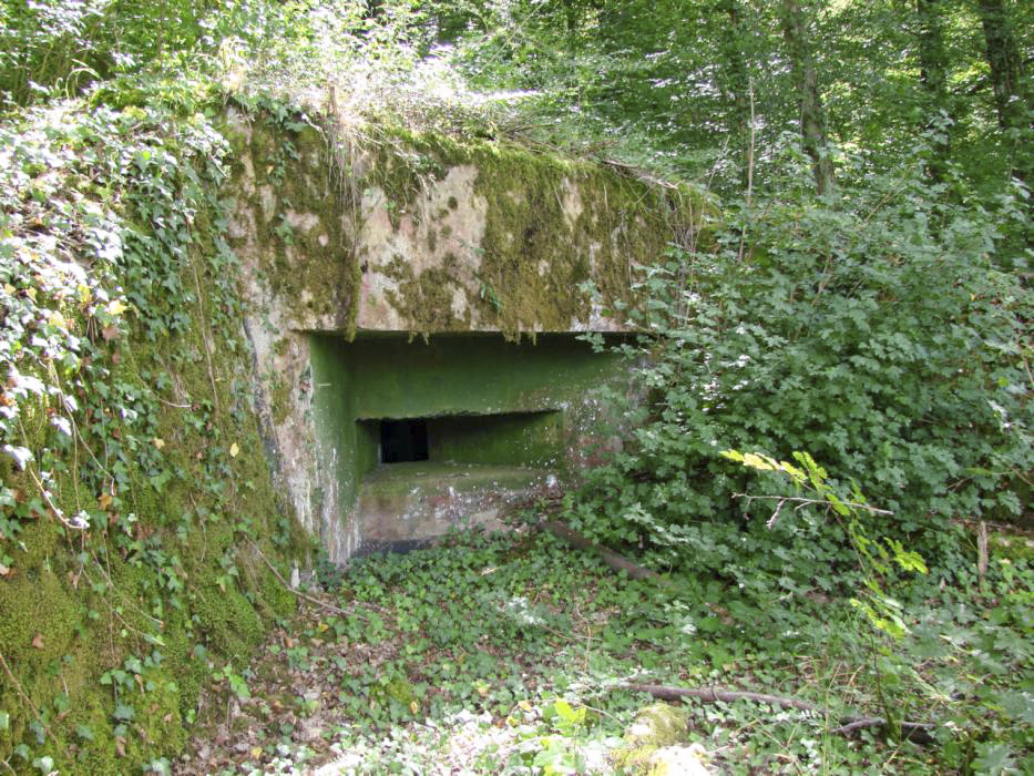 Ligne Maginot - BB9 - (Blockhaus pour arme infanterie) - Créneau donnant sur la route D188h en direction de Dalstein