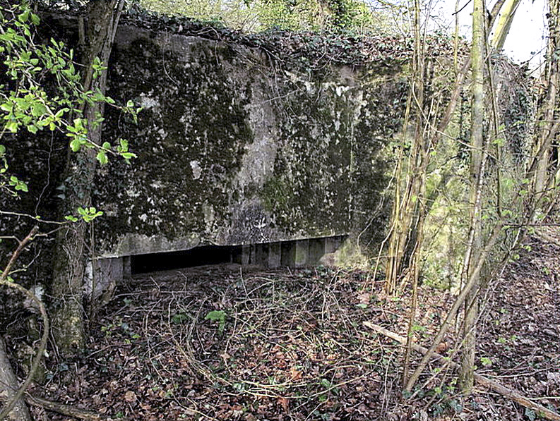 Ligne Maginot - DALEM EST - (Blockhaus pour canon) - 