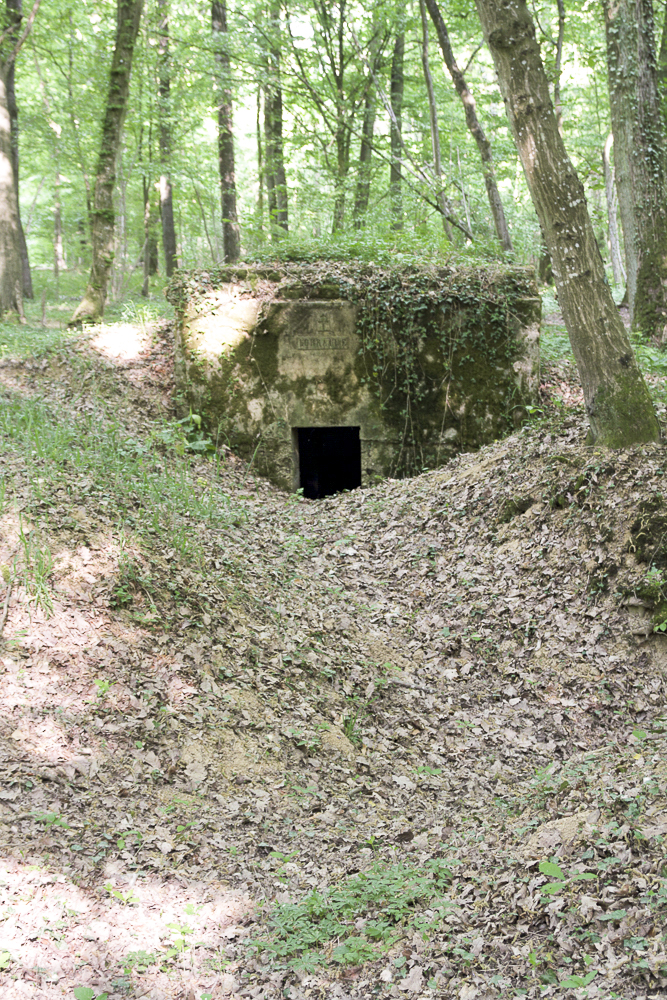 Ligne Maginot - CB117-C - OBERHEIDE 03 - (Blockhaus pour arme infanterie) - On voit bien les vestiges des tranchées menant à l'observatoire