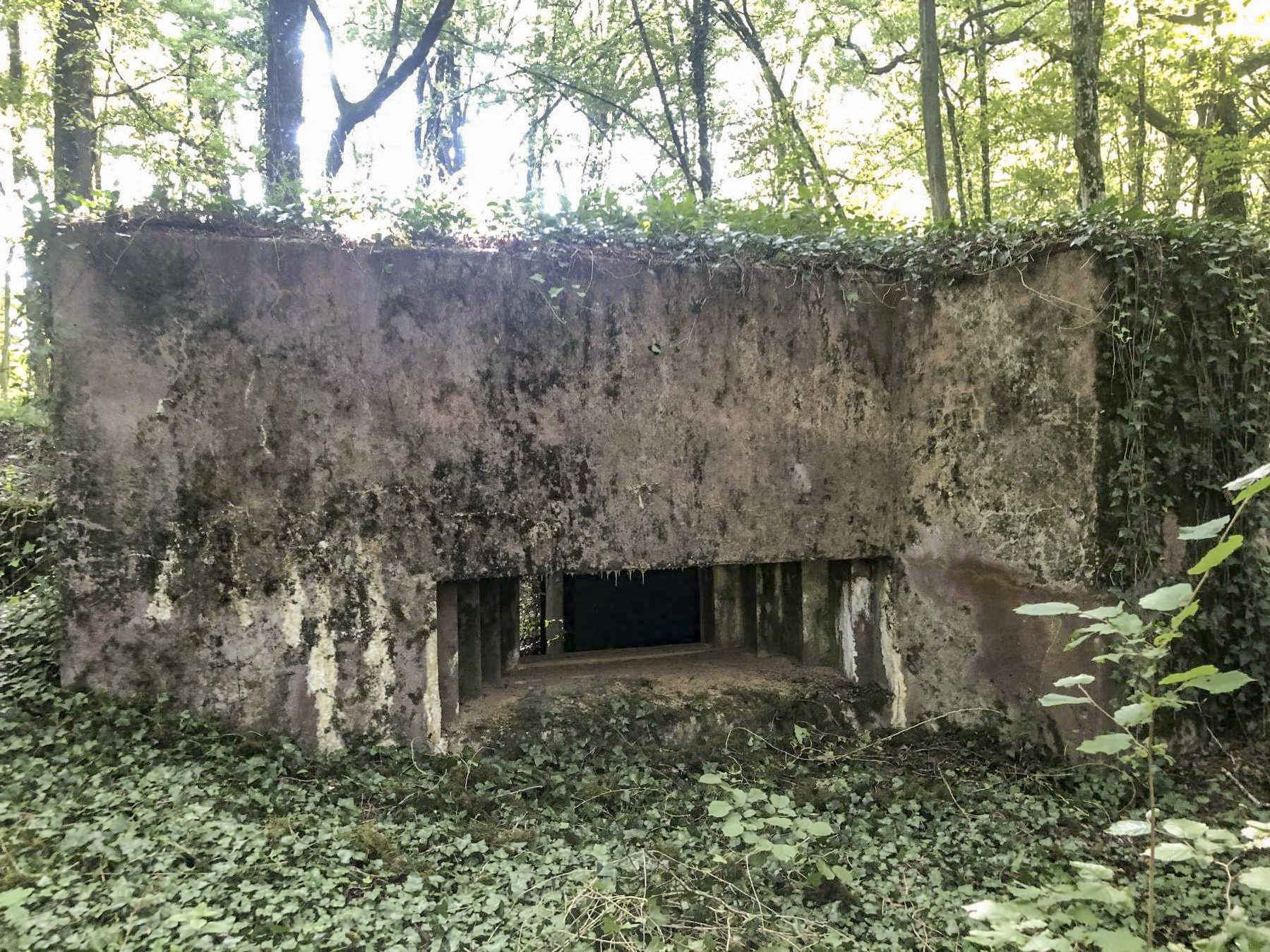 Ligne Maginot - CB118-C - OBERHEIDE 02 - (Blockhaus pour canon) - Le blockhaus vu de face