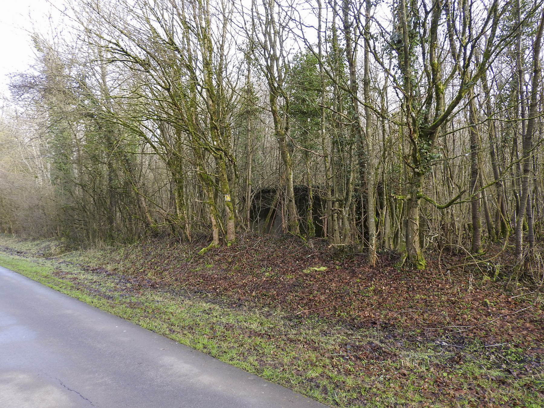 Ligne Maginot - AB32-C - LANDERT NORD - (Blockhaus pour canon) - Le blockhaus au bord de la route forestière du bois de Coume.