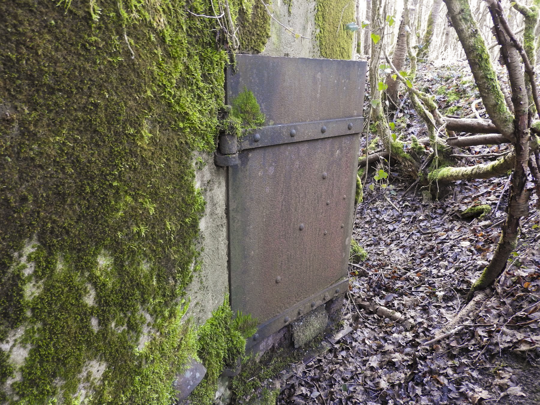 Ligne Maginot - AB32-C - LANDERT NORD - (Blockhaus pour canon) - La porte blindée de l'entrée latérale.