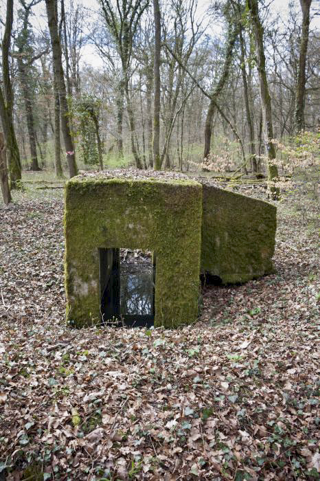 Ligne Maginot - BOIS DE TETING 2 - (Blockhaus pour arme infanterie) - 