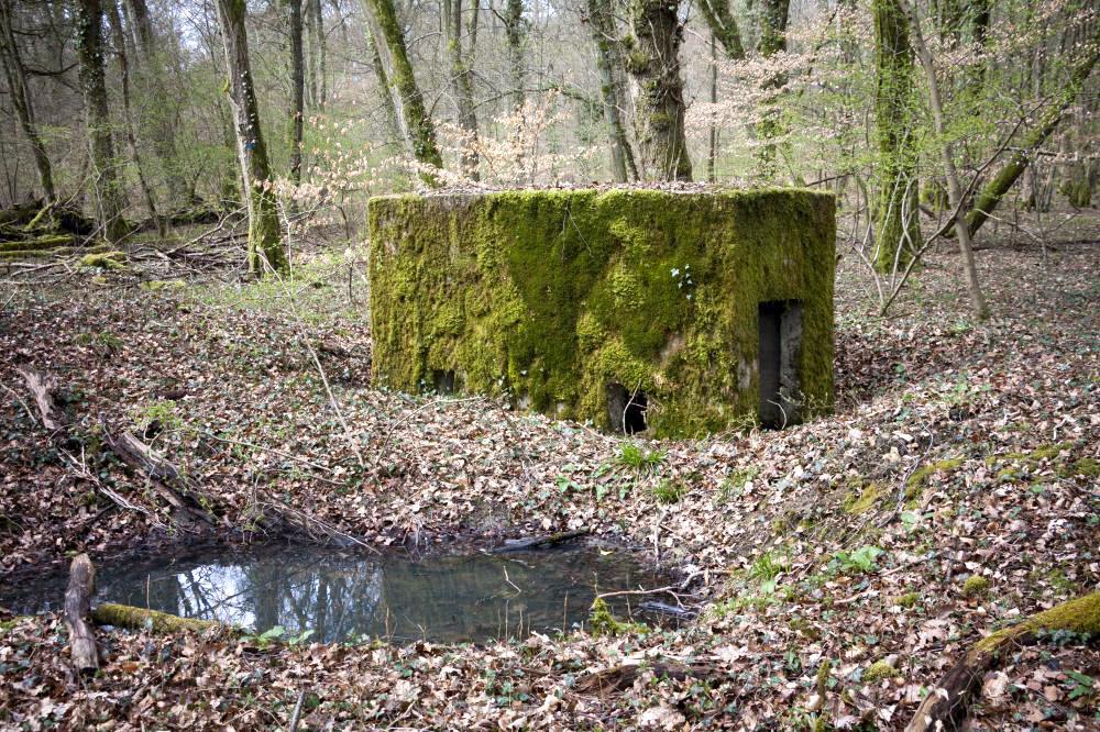 Ligne Maginot - BOIS DE TETING 2 - (Blockhaus pour arme infanterie) - 