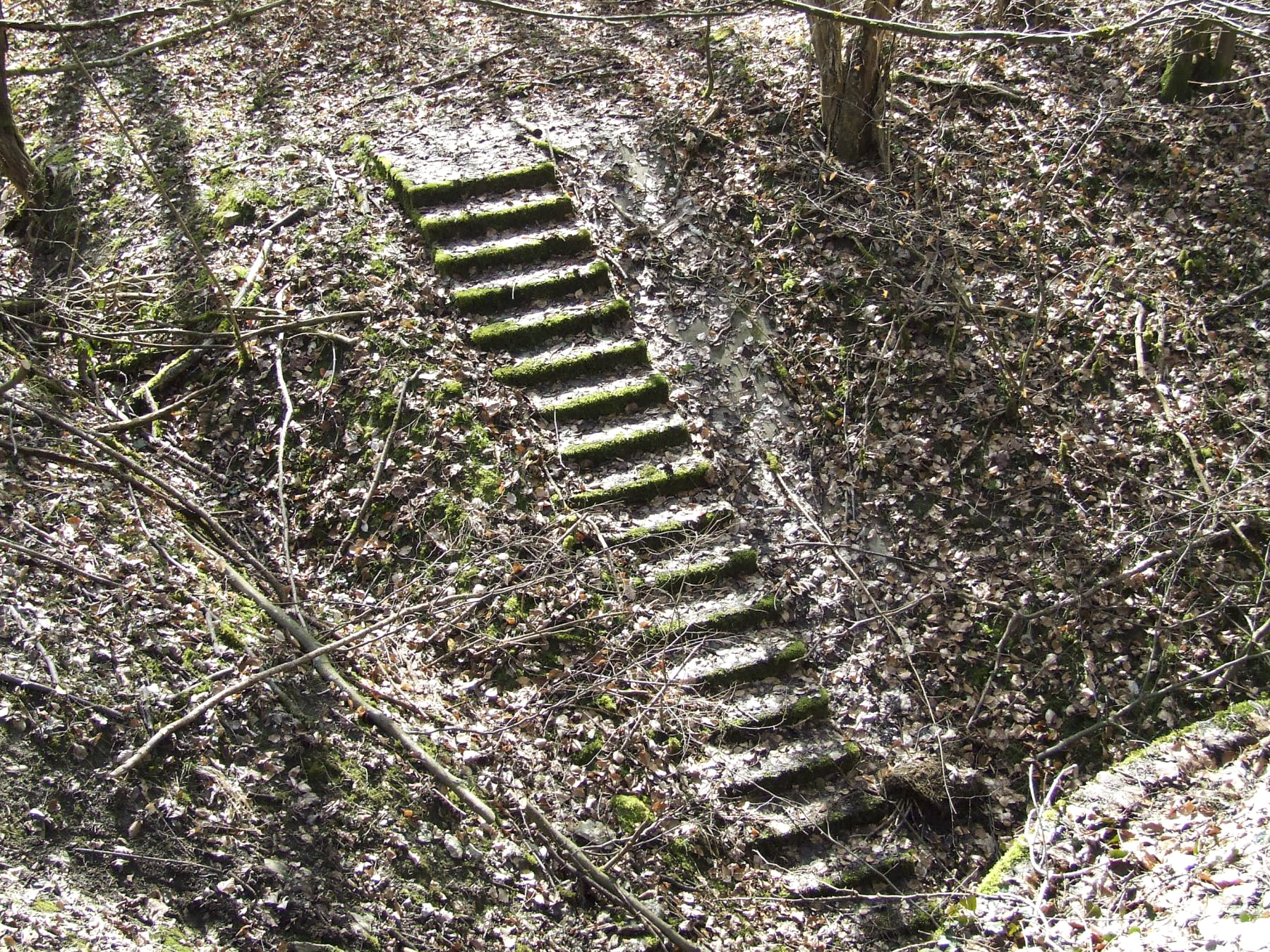 Ligne Maginot - BOIS DE LAUDREFANG SUD - C77 - (Casemate d'infanterie - Simple) - L'escalier d'accès à la casemate

