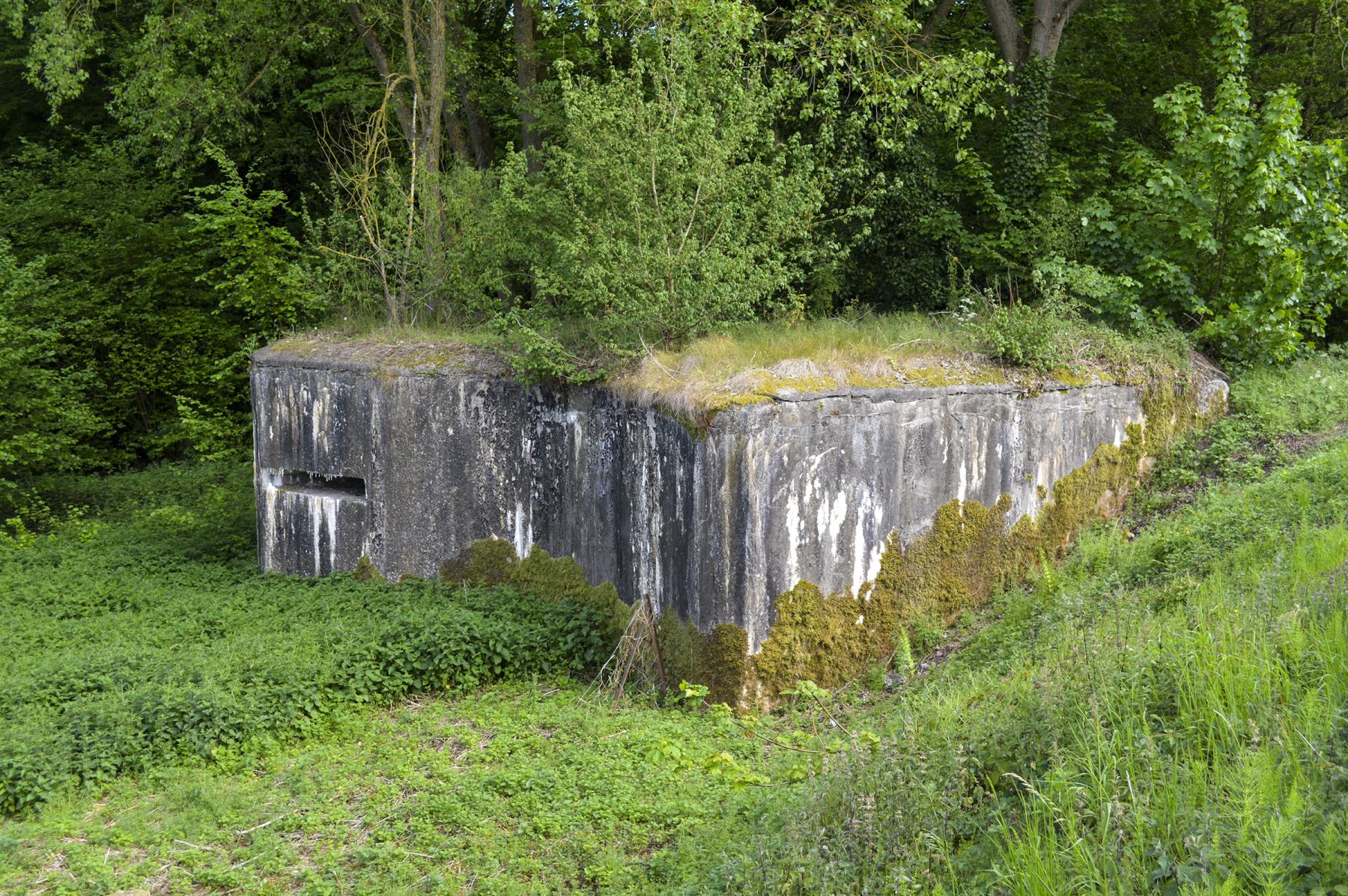 Ligne Maginot - A84 - BOIS BRULE - (Blockhaus pour canon) - 
