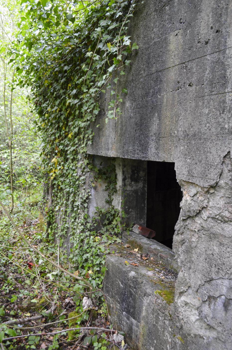 Ligne Maginot - BEF 301 - BOIS DE LA TASSONNIERE - (Blockhaus pour canon) - 