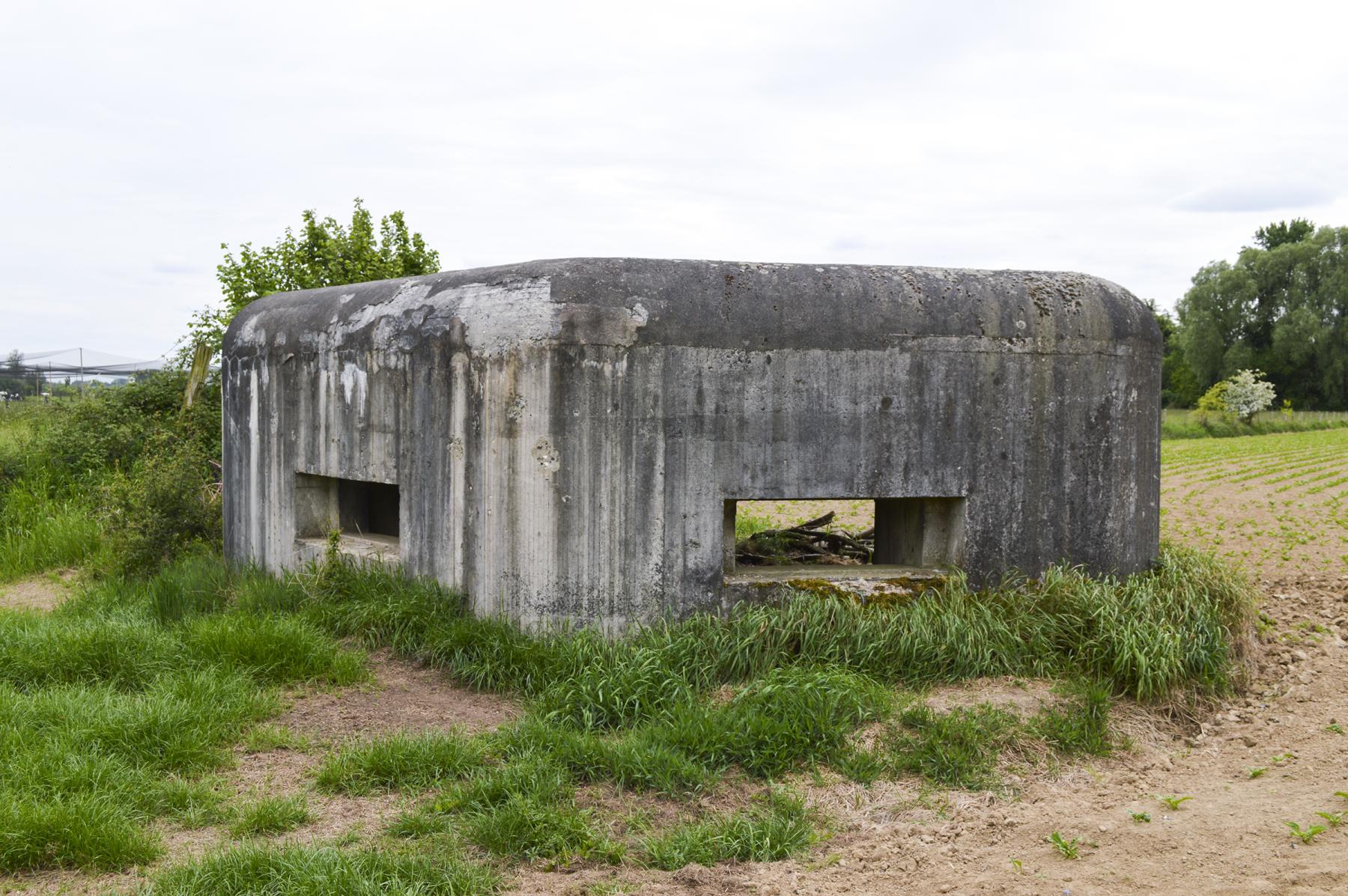 Ligne Maginot - B346 - BOIS DE VARLET SUD 1 - (Blockhaus pour canon) - 