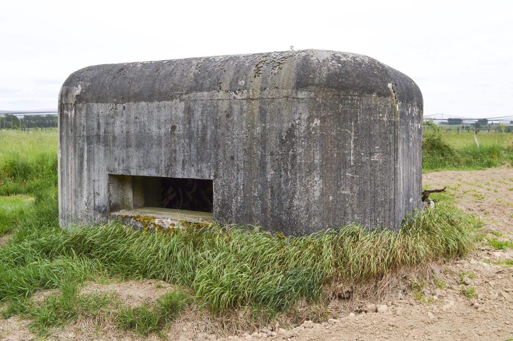 Ligne Maginot - B346 - BOIS DE VARLET SUD 1 - (Blockhaus pour canon) - 