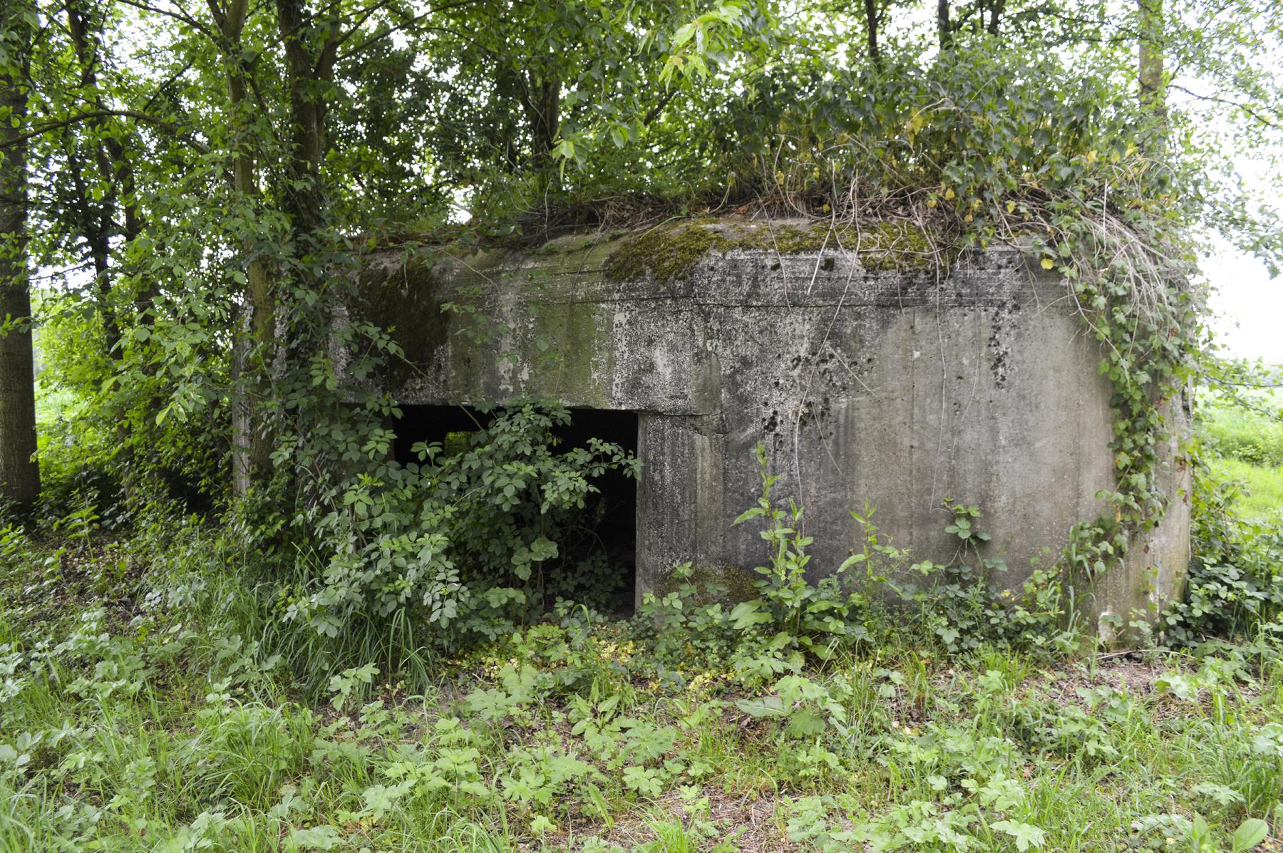 Ligne Maginot - B343 - BOIS DE BERCU NORD - (Blockhaus pour canon) - 