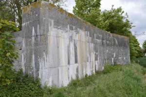 Ligne Maginot - BEF 202 - BABERMONT SUD - (Blockhaus pour canon) - 