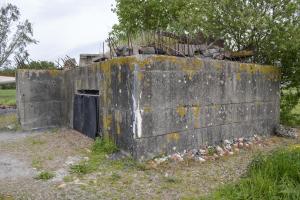Ligne Maginot - BEF 349 - BOIS DES TOURELLES - (Blockhaus pour canon) - 