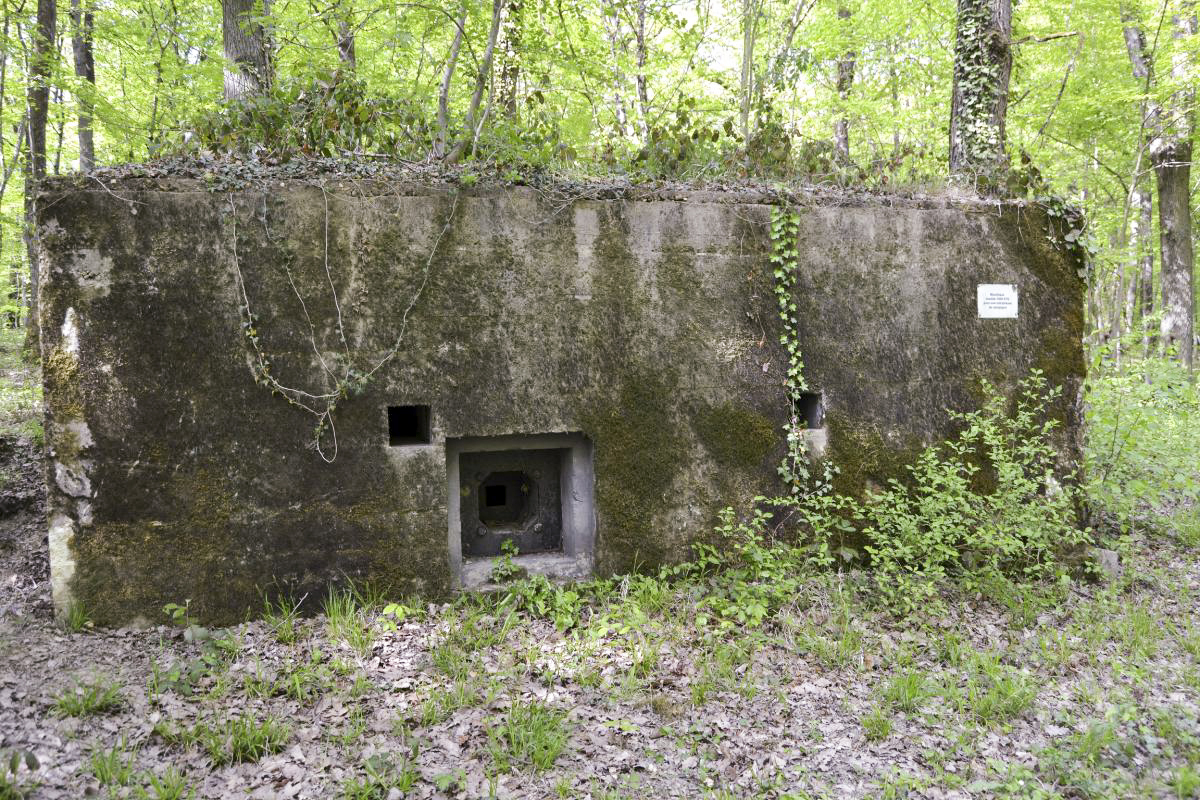 Ligne Maginot - CB277 - IDLINGEN - (Blockhaus pour arme infanterie) - Façade latérale côté route militaire.