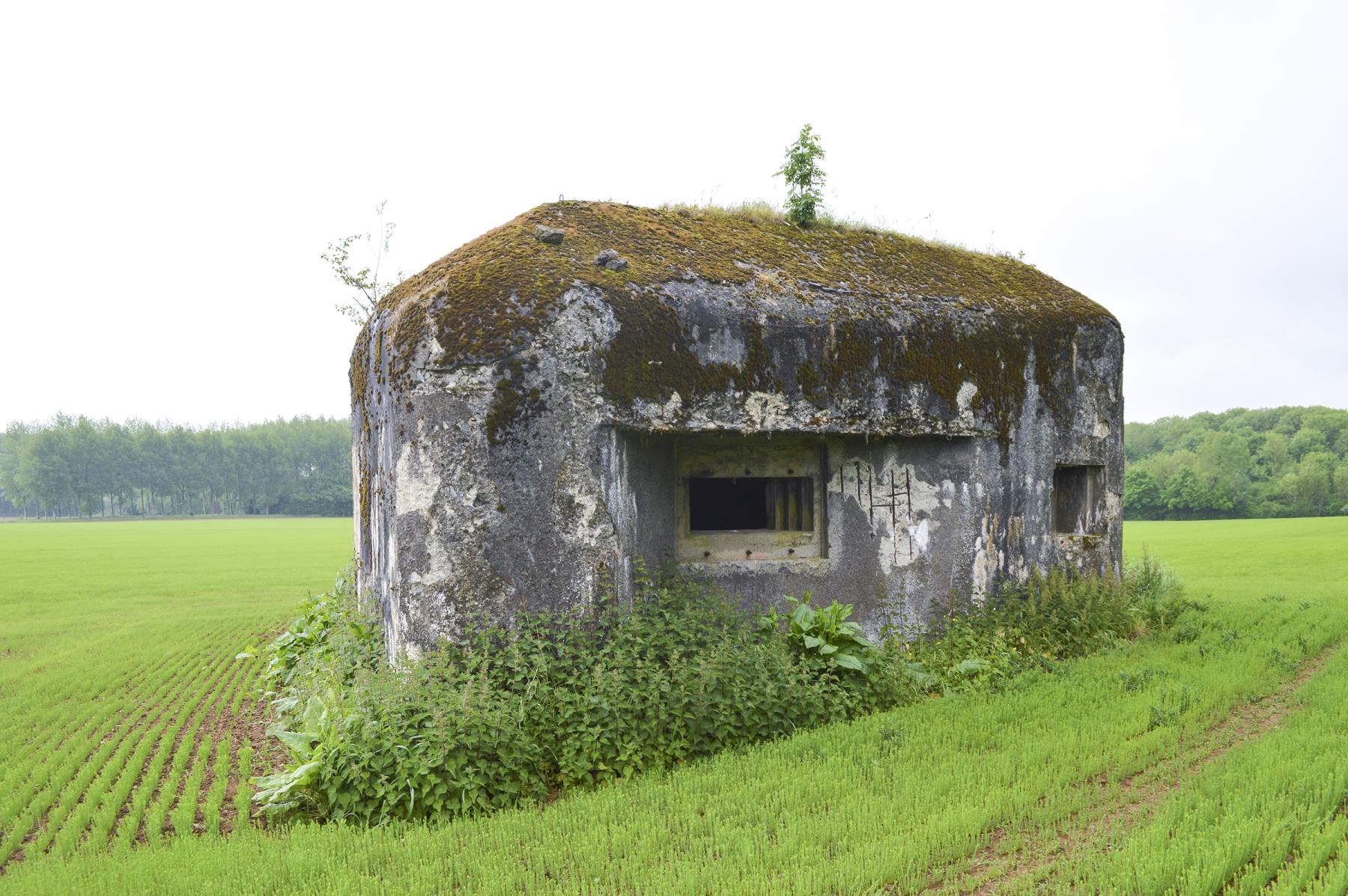 Ligne Maginot - B600 - BOIS DES ECOLIERS EST - (Blockhaus pour canon) - 