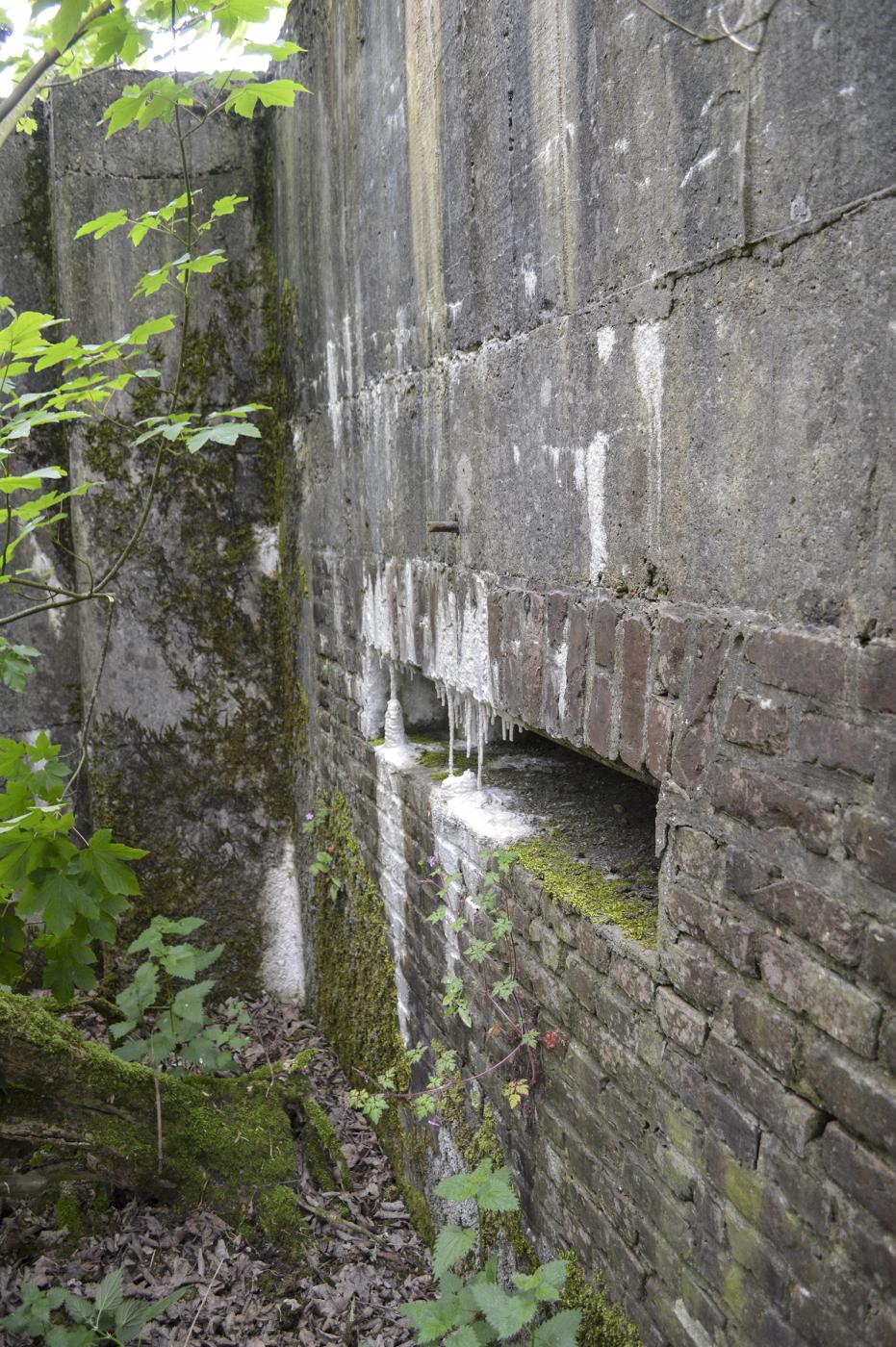 Ligne Maginot - BEF 202 - BABERMONT SUD - (Blockhaus pour canon) - 