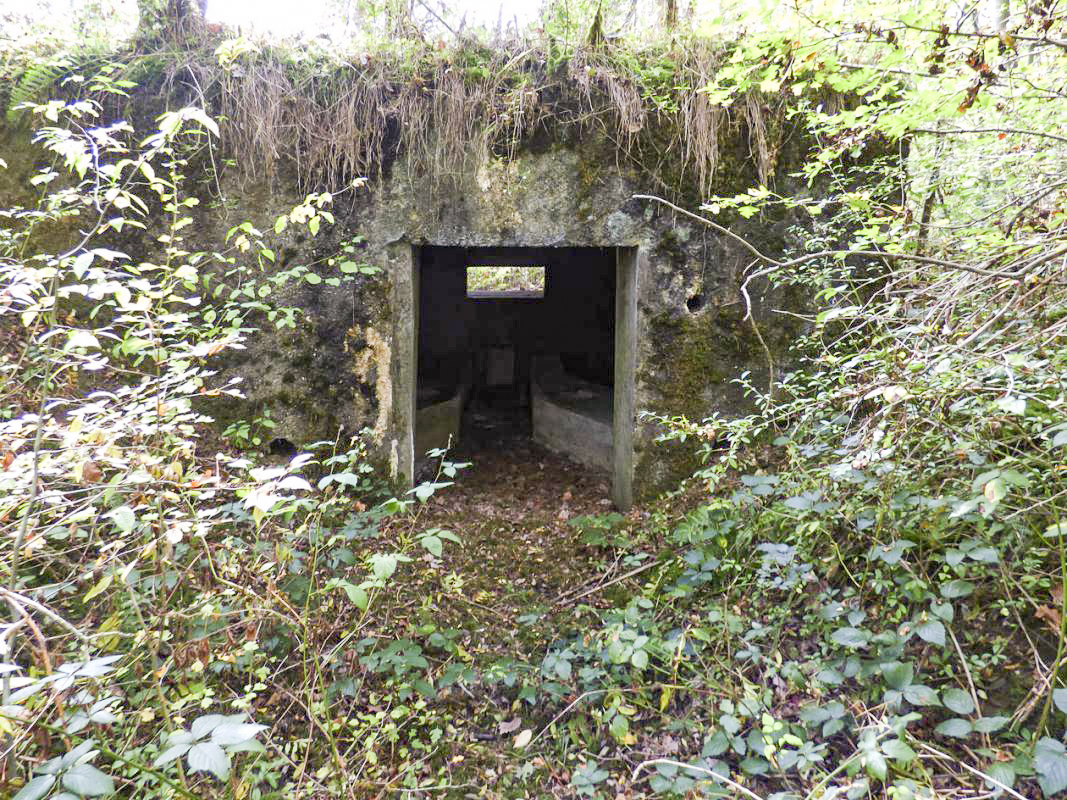 Ligne Maginot - BB2-A - LES TRIEUX SUD - (Blockhaus pour canon) - 
