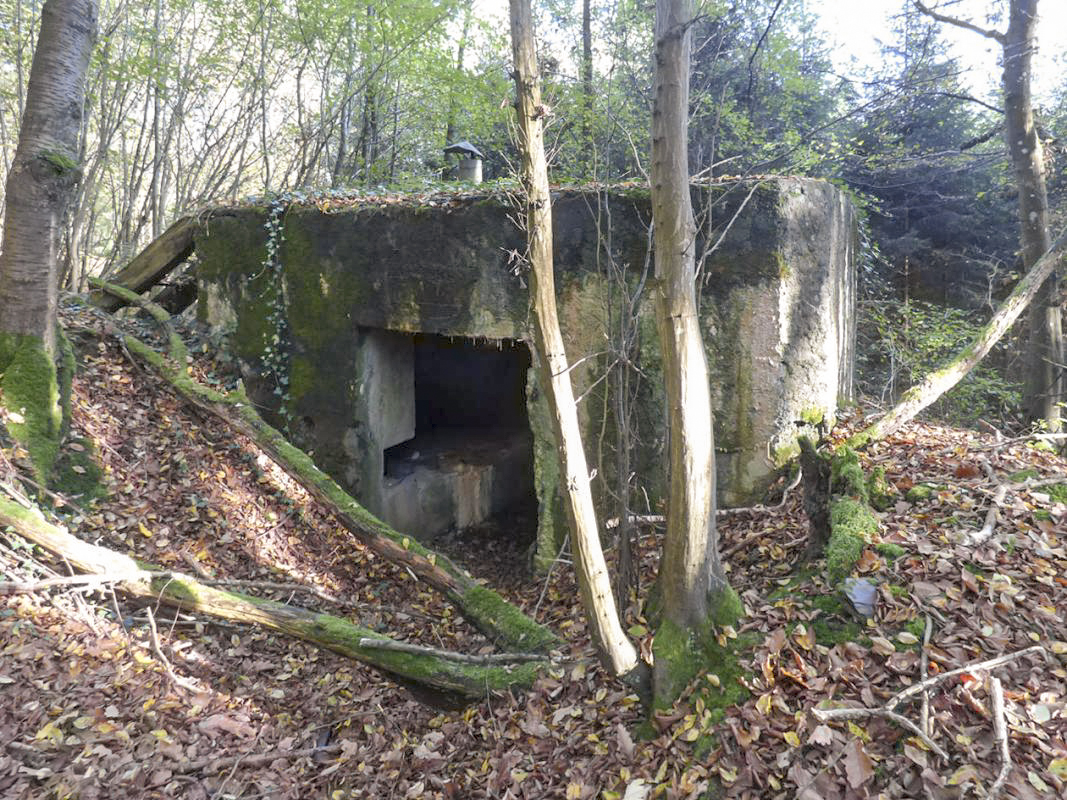 Ligne Maginot - BB22 - LA BATE NORD - (Blockhaus pour canon) - 