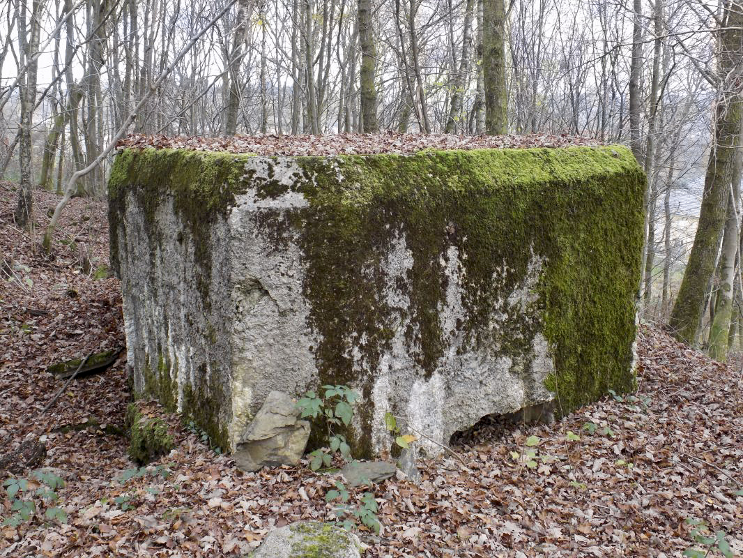 Ligne Maginot - BB29-B - LE CHARNOIS - (Blockhaus pour arme infanterie) - 